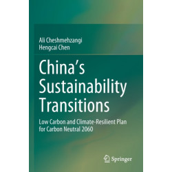 China's Sustainability Transitions: Low Carbon and Climate-Resilient Plan for Carbon Neutral 2060
