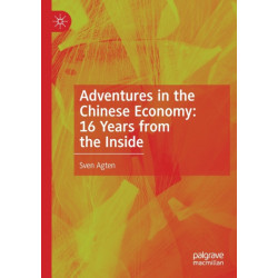 Adventures in the Chinese Economy: 16 Years from the Inside