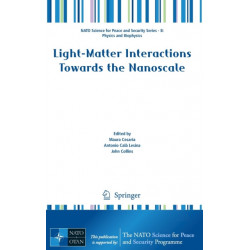 Light-Matter Interactions Towards the Nanoscale