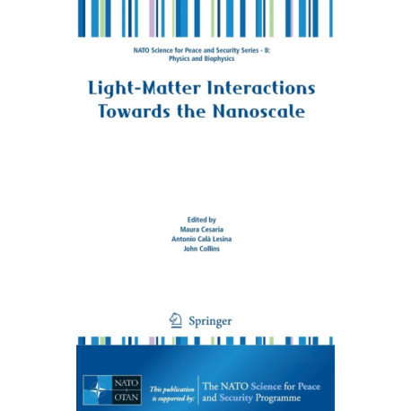 Light-Matter Interactions Towards the Nanoscale