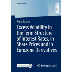 Excess Volatility in the Term Structure of Interest Rates, in Share Prices and in Eurozone Derivatives