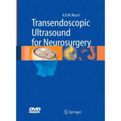 Transendoscopic Ultrasound for Neurosurgery