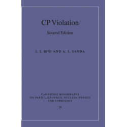 CP Violation