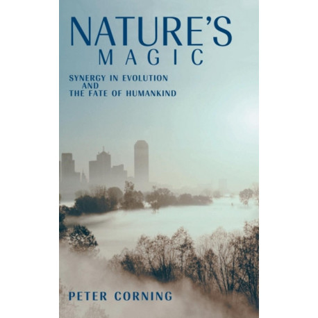 Nature's Magic: Synergy in Evolution and the Fate of Humankind