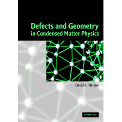 Defects and Geometry in Condensed Matter Physics