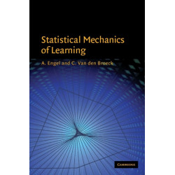 Statistical Mechanics of Learning