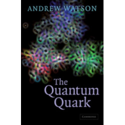 The Quantum Quark