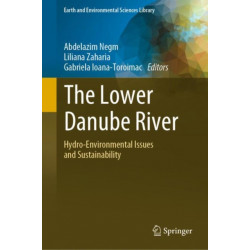 The Lower Danube River: Hydro-Environmental Issues and Sustainability
