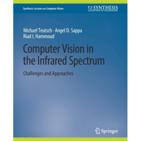Computer Vision in the Infrared Spectrum: Challenges and Approaches