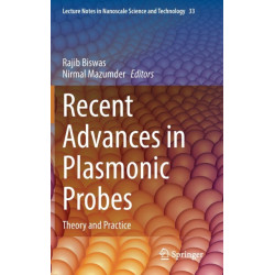 Recent Advances in Plasmonic Probes: Theory and Practice