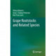 Grape Rootstocks and Related Species