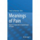 Meanings of Pain: Volume 3: Vulnerable or Special Groups of People
