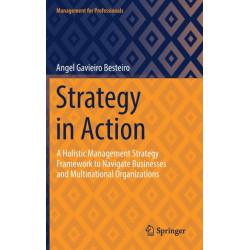Strategy in Action: A Holistic Management Strategy Framework to Navigate Businesses and Multinational Organizations
