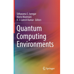 Quantum Computing Environments