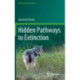 Hidden Pathways to Extinction