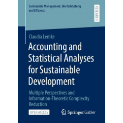 Accounting and Statistical Analyses for Sustainable Development: Multiple Perspectives and Information-Theoretic Complexity Reduction