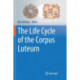 The Life Cycle of the Corpus Luteum