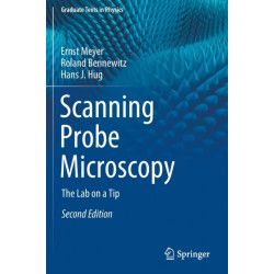 Scanning Probe Microscopy: The Lab on a Tip