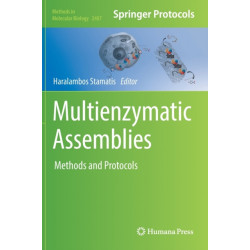 Multienzymatic Assemblies: Methods and Protocols