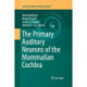 The Primary Auditory Neurons of the Mammalian Cochlea