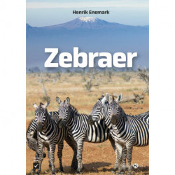 Zebraer