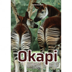 Okapi