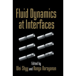 Fluid Dynamics at Interfaces