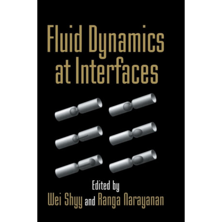 Fluid Dynamics at Interfaces