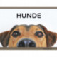 Hunde