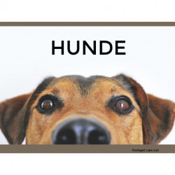 Hunde