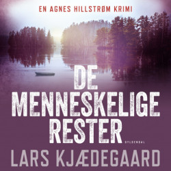 De menneskelige rester: Agnes Hillstrøm 5