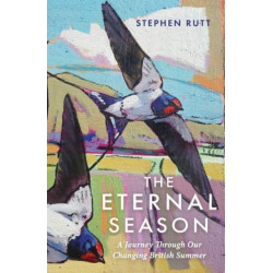 The Eternal Season: A Journey Through Our Changing British Summer