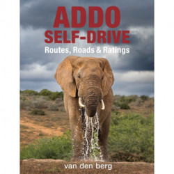 Addo Self-Drive: Routes, Roads & Ratings