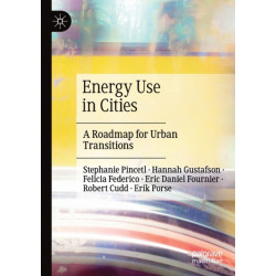 Energy Use in Cities: A Roadmap for Urban Transitions