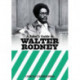A Rebel's Guide to Walter Rodney