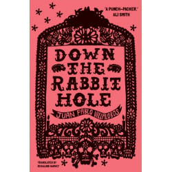 Down the Rabbit Hole: Shortlisted for the 2011 Guardian First Book Award