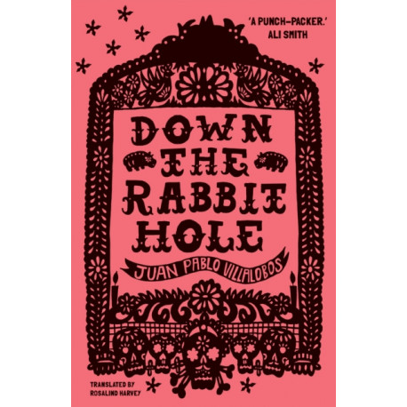 Down the Rabbit Hole: Shortlisted for the 2011 Guardian First Book Award