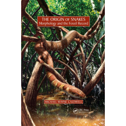 The Origin of Snakes: Morphology and the Fossil Record