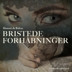Bristede forhåbninger