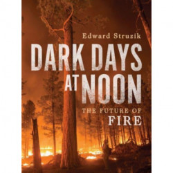 Dark Days at Noon: The Future of Fire