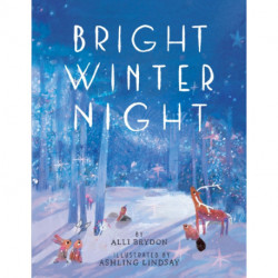 Bright Winter Night