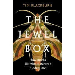The Jewel Box: How Moths Illuminate Nature's Hidden Rules