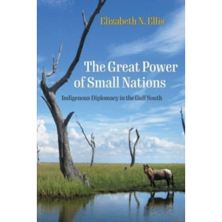 The Great Power of Small Nations: Indigenous Diplomacy in the Gulf South