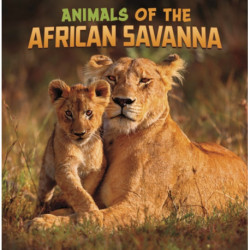 Animals of the African Savanna