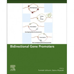 Bidirectional Gene Promoters: Transcription system and chromosomal structure