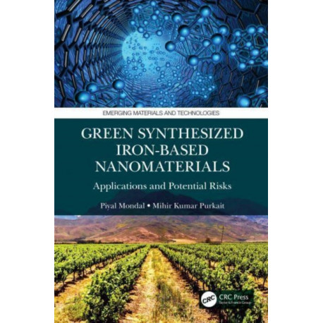 Green Synthesized Iron-based Nanomaterials: Applications and Potential Risks