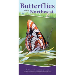 Butterflies of the Northwest: Your Way to Easily Identify Butterflies
