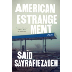 American Estrangement: Stories