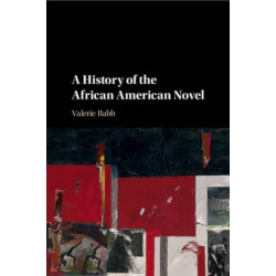 A History of the African American Novel