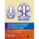 The Human Brain during the First Trimester 15- to 18-mm Crown-Rump Lengths: Atlas of Human Central Nervous System Development, Volume 3